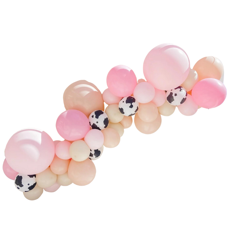 Farmyard Fun balloon collection in Bondi, Sydney