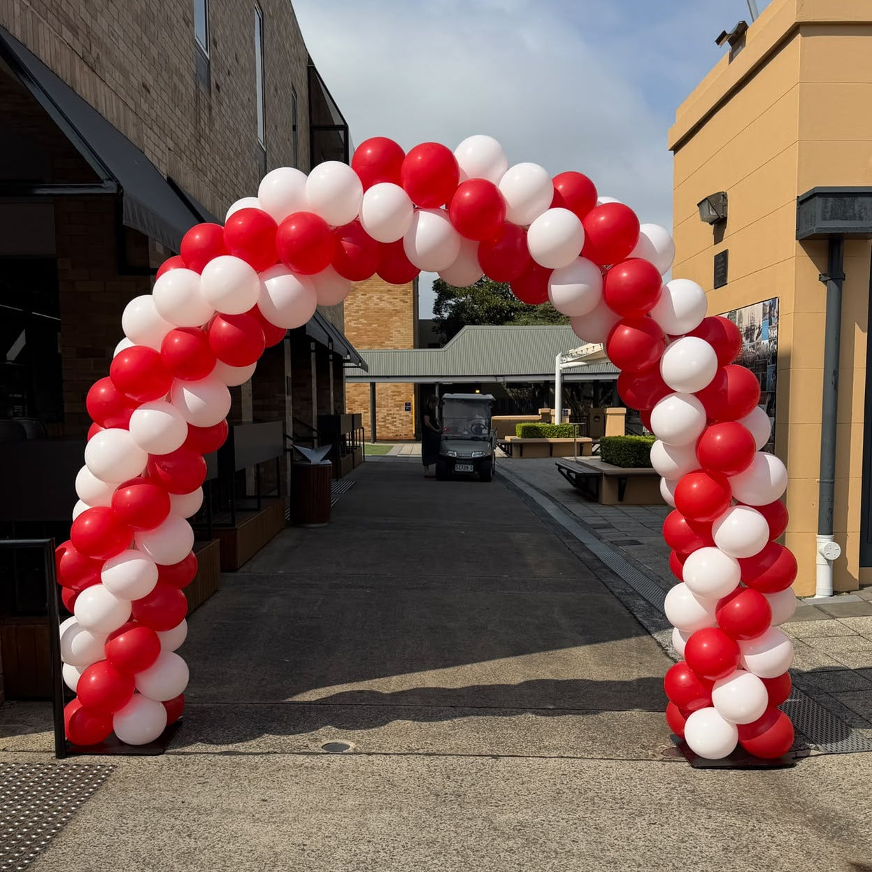 Balloon Arch