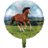 Horse and Pony Balloon by Bondi Road Balloons