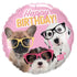 Happy Birthday Puppies Balloon – Cool Dogs with Glasses - puppieswithglassesballoon in Bondi, Sydney